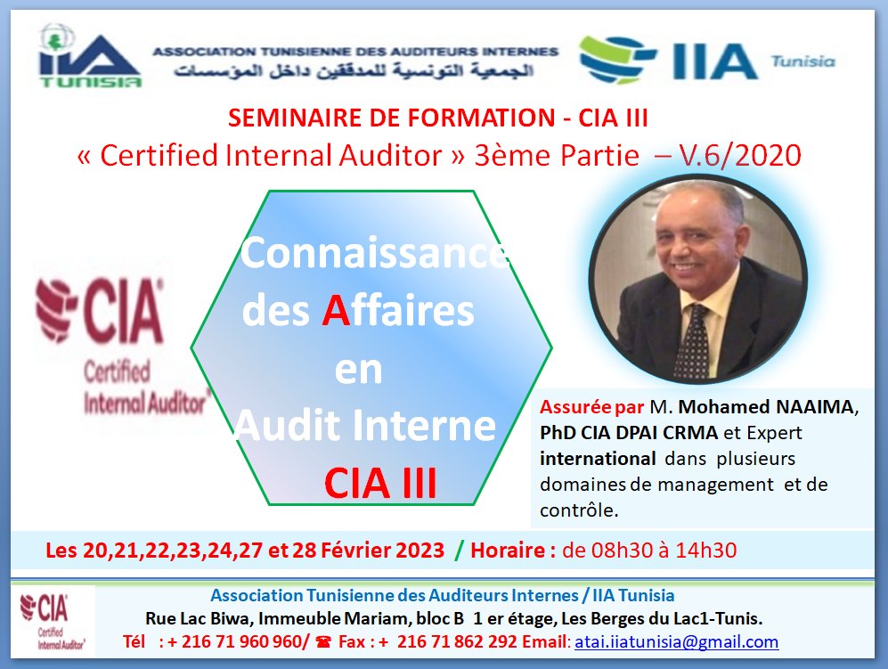 Préparation à l’Examen CIA « Certified Internal Auditor : Troisième PARTIE» 